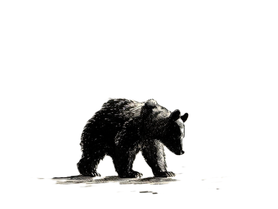 An ink drawing of a bear cub walking home in the evening.