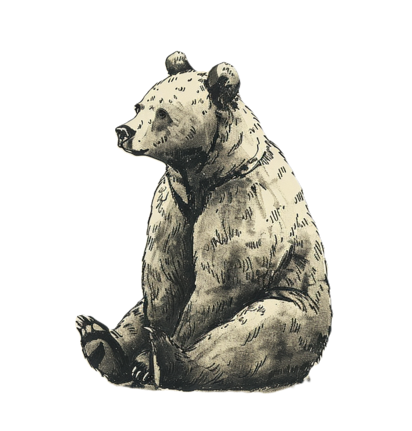 An ink drawing of a bear sat on the ground.