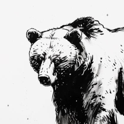 An ink drawing of a bear looking over.